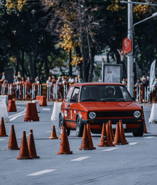 pexels-didsss-5556539